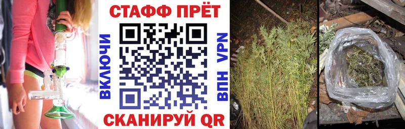 Где купить наркоту Отрадная Псилоцибиновые грибы  COCAIN  ТГК  МАРИХУАНА  ГАШИШ 