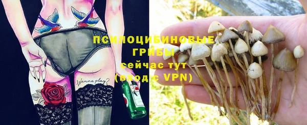 мяу мяу кристалл Алексин