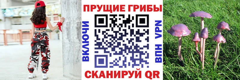 Галлюциногенные грибы мицелий  Отрадная 